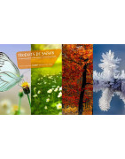 DTS 01 : Produits de Saison - Hivernage, Anti-Verglas et Été (Ain)