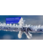 DTS Firchim : Dégivrant, Antigel & Déneigeant PRO Ain (01)