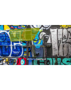 DTS FIRCHIM : Décapants Peintures & Anti-Graffitis Pro - l'Ain