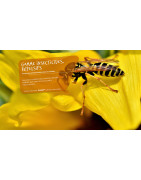 DTS 01 : Insecticides, Répulsifs et Désinsectisation Professionnelle (Ain)