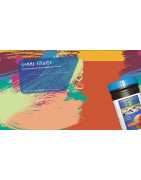 DTS 01 : Gamme FIRWIPE - Essuyage Professionnel & Lingettes (Ain)